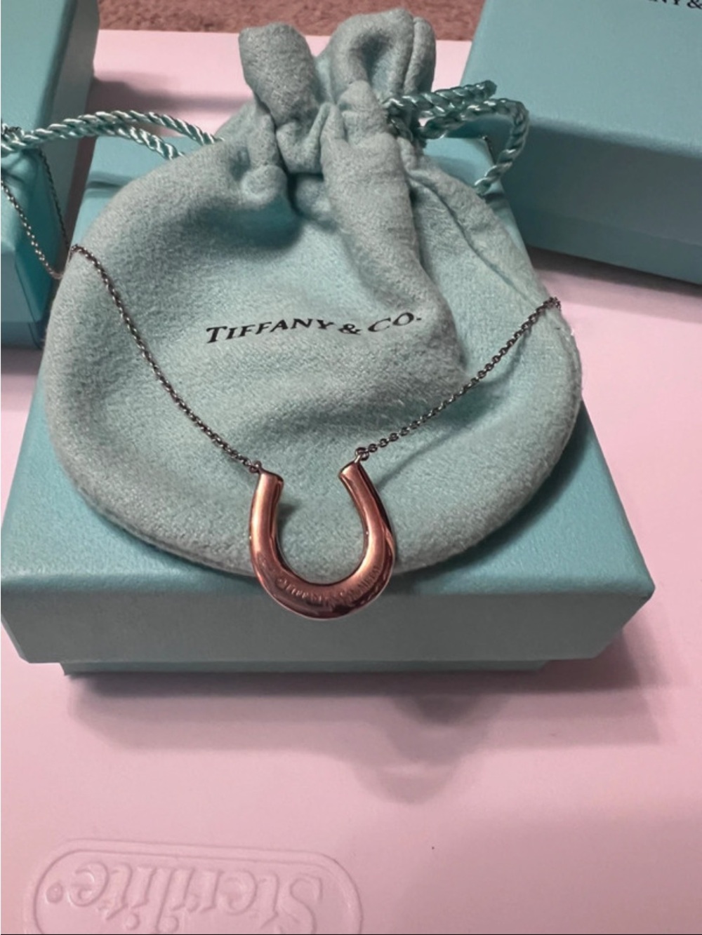 Tiffany & Co. Rose Gold Horseshoe Necklace